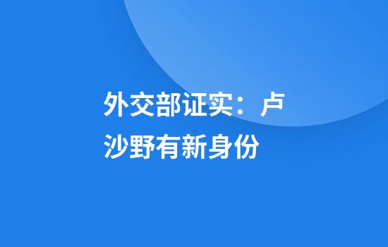 外交部证实：卢沙野有新身份