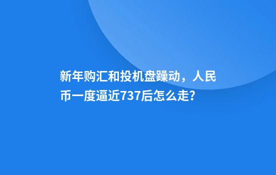 新年购汇和投机盘躁动，人民币一度逼近7.37后怎么走？