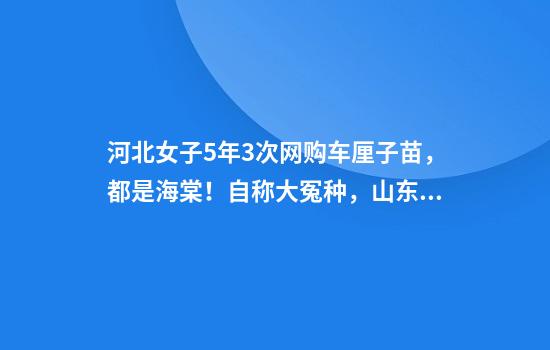 河北女子5年3次网购车厘子苗，都是海棠！自称大冤种，山东网友给她邮了两棵樱桃苗