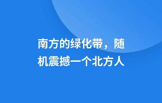 南方的绿化带，随机震撼一个北方人