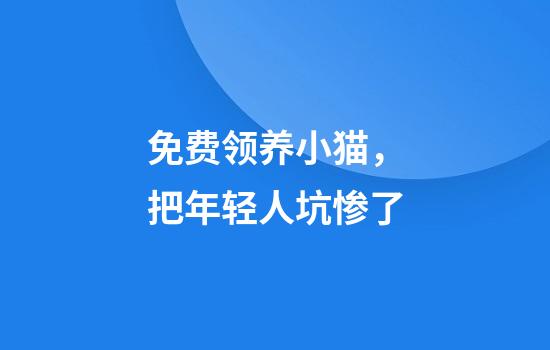 免费领养小猫，把年轻人坑惨了