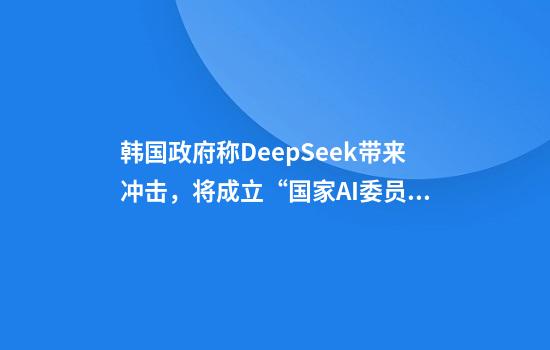 韩国政府称DeepSeek带来冲击，将成立“国家AI委员会”