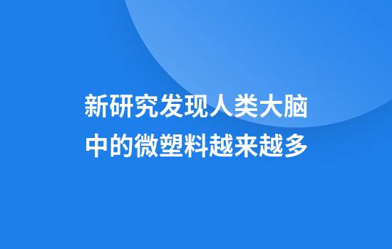 新研究发现人类大脑中的微塑料越来越多