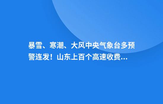 暴雪、寒潮、大风......中央气象台多预警连发！山东上百个高速收费站封闭，济南全市中小学停课