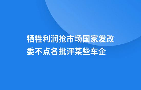 牺牲利润抢市场国家发改委不点名批评某些车企