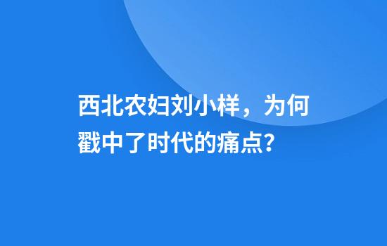 西北农妇刘小样，为何戳中了时代的痛点？
