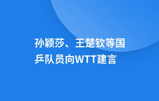 孙颖莎、王楚钦等国乒队员向WTT建言