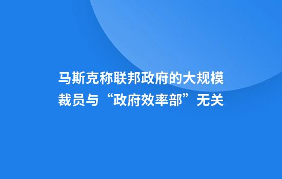 马斯克称联邦政府的大规模裁员与“政府效率部”无关