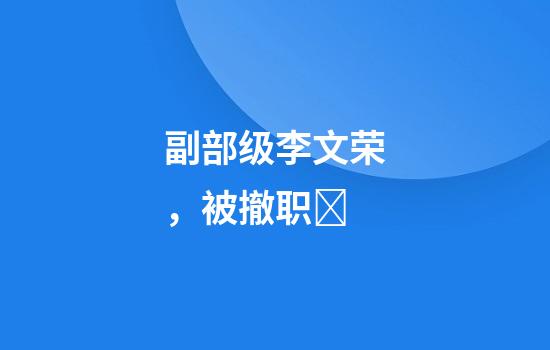 副部级李文荣，被撤职​