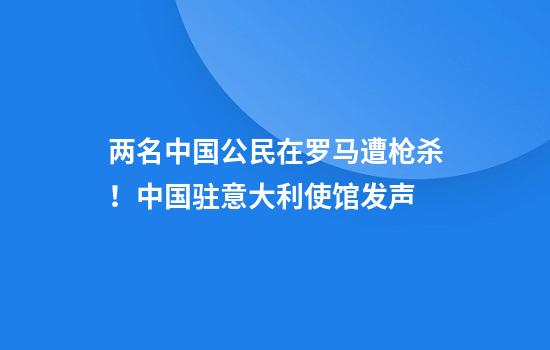 两名中国公民在罗马遭枪杀！中国驻意大利使馆发声