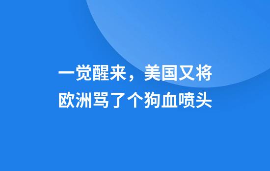 一觉醒来，美国又将欧洲骂了个狗血喷头
