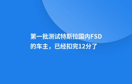 第一批测试特斯拉国内FSD的车主，已经扣完12分了