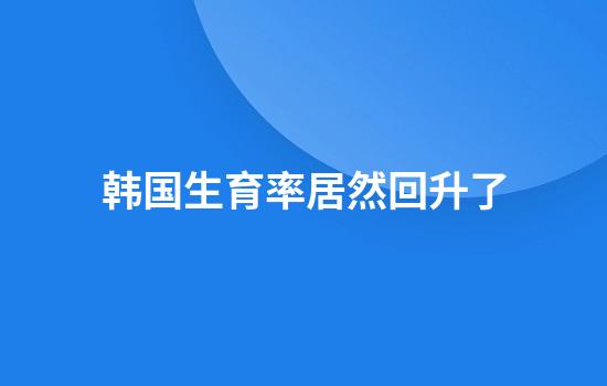 韩国生育率居然回升了