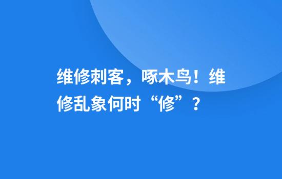 维修刺客，啄木鸟！维修乱象何时“修”？