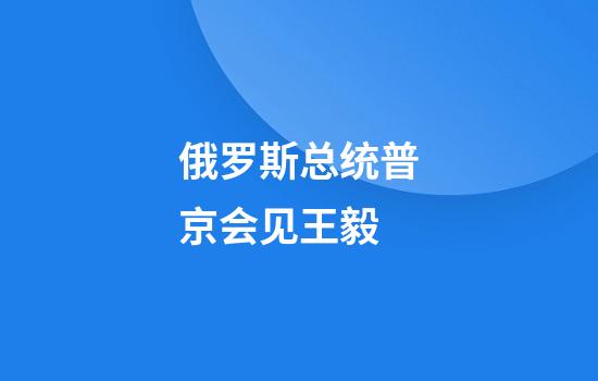 俄罗斯总统普京会见王毅