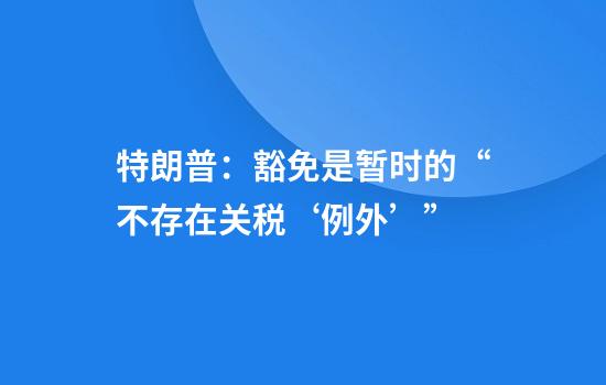 特朗普：豁免是暂时的“不存在关税‘例外’”