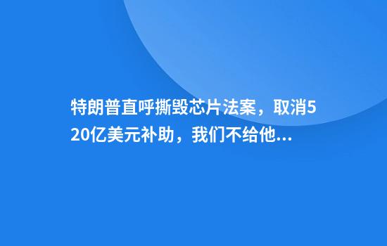 特朗普直呼撕毁芯片法案，取消520亿美元补助，我们不给他们一分钱