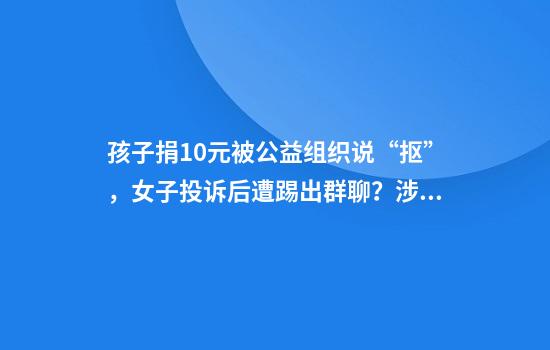 孩子捐10元被公益组织说“抠”，女子投诉后遭踢出群聊？涉事组织回应
