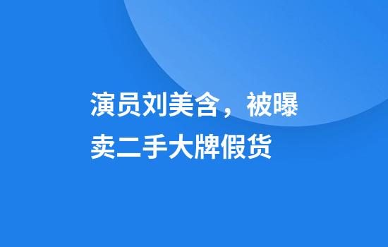 演员刘美含，被曝卖二手大牌假货