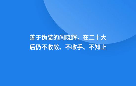 善于伪装的阎晓辉，在二十大后仍不收敛、不收手、不知止