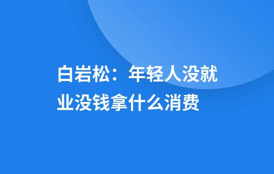 白岩松：年轻人没就业没钱拿什么消费