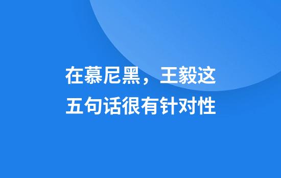 在慕尼黑，王毅这五句话很有针对性