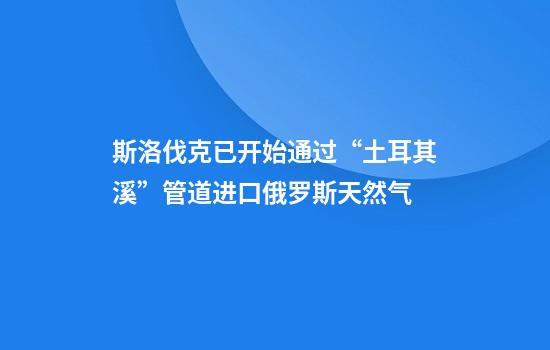斯洛伐克已开始通过“土耳其溪”管道进口俄罗斯天然气