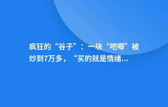 疯狂的“谷子”：一块“吧唧”被炒到7万多，“买的就是情绪价值”