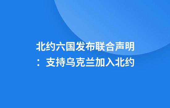 北约六国发布联合声明：支持乌克兰加入北约