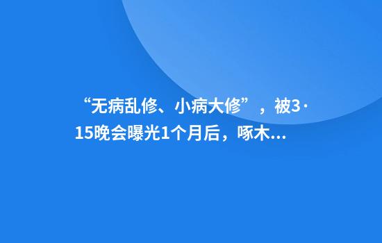 “无病乱修、小病大修”，被3·15晚会曝光1个月后，啄木鸟出狠招：举报宰客，查实奖励1000元