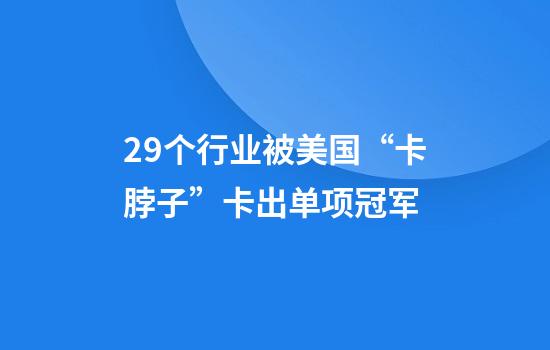 29个行业被美国“卡脖子”卡出单项冠军