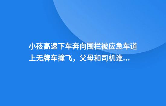 小孩高速下车奔向围栏被应急车道上无牌车撞飞，父母和司机谁责任更大？律师分析来了