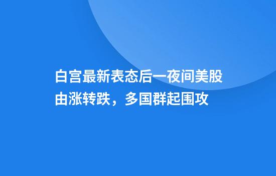 白宫最新表态后一夜间美股由涨转跌，多国群起围攻