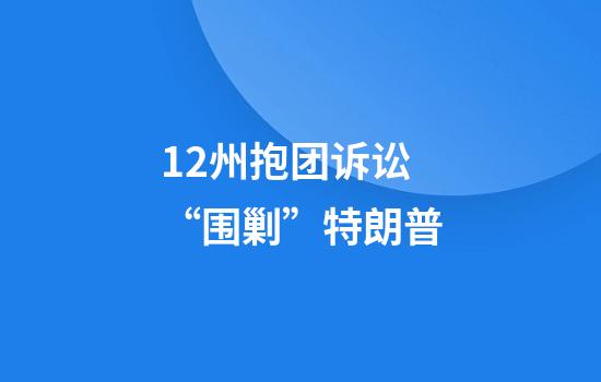 12州抱团诉讼“围剿”特朗普