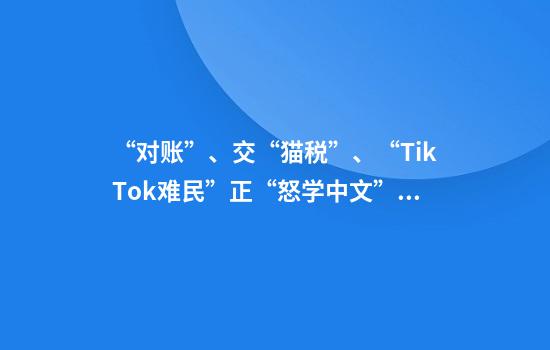 “对账”、交“猫税”、“TikTok难民”正“怒学中文”？语言教育明星股：美国普通话学习者大增216%