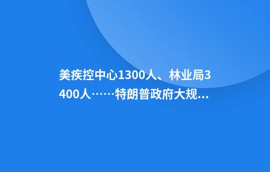 美疾控中心1300人、林业局3400人……特朗普政府大规模裁员近万人！马斯克：计划省出1万亿美元