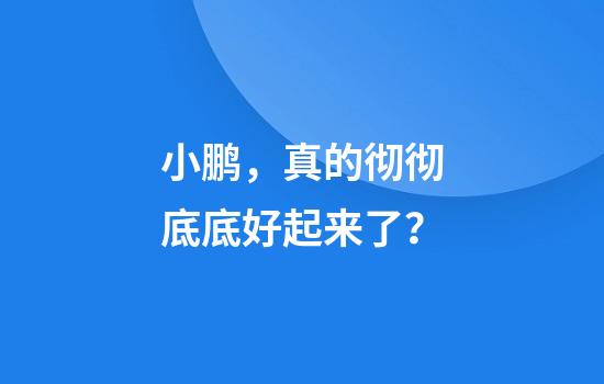 小鹏，真的彻彻底底好起来了？