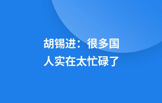 胡锡进：很多国人实在太忙碌了