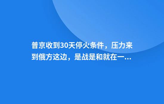 普京收到30天停火条件，压力来到俄方这边，是战是和就在一念之间