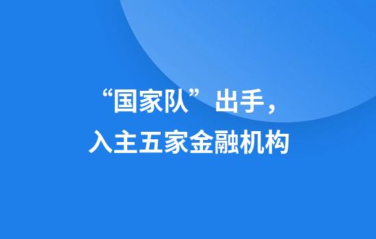 “国家队”出手，入主五家金融机构