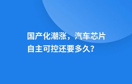 国产化潮涨，汽车芯片自主可控还要多久？