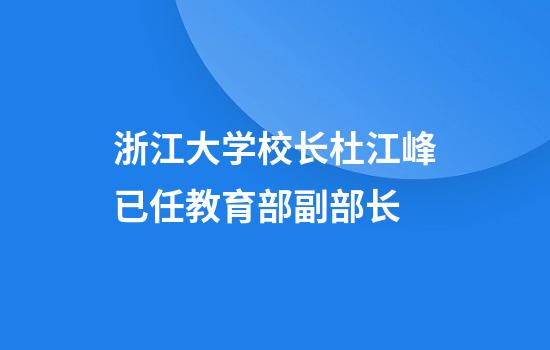 浙江大学校长杜江峰已任教育部副部长