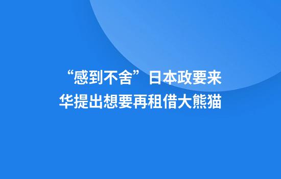 “感到不舍”日本政要来华提出想要再租借大熊猫