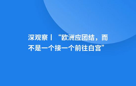 深观察丨“欧洲应团结，而不是一个接一个前往白宫”