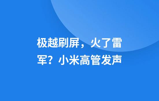 极越刷屏，火了雷军？小米高管发声