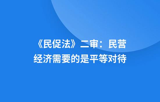 《民促法》二审：民营经济需要的是平等对待