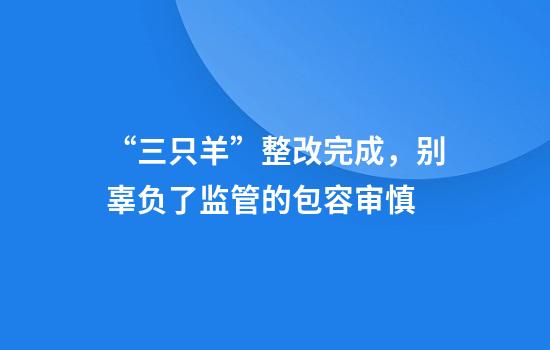 “三只羊”整改完成，别辜负了监管的包容审慎