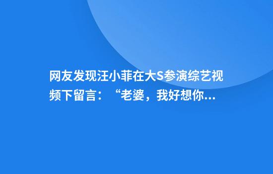 网友发现汪小菲在大S参演综艺视频下留言：“老婆，我好想你”
