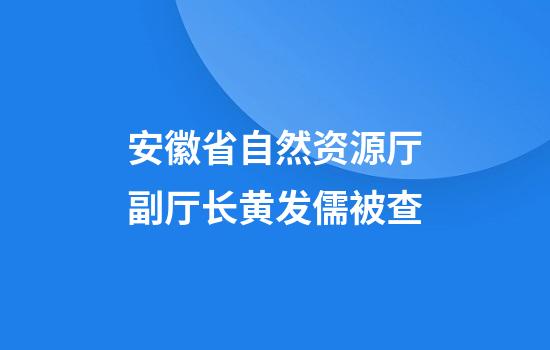 安徽省自然资源厅副厅长黄发儒被查
