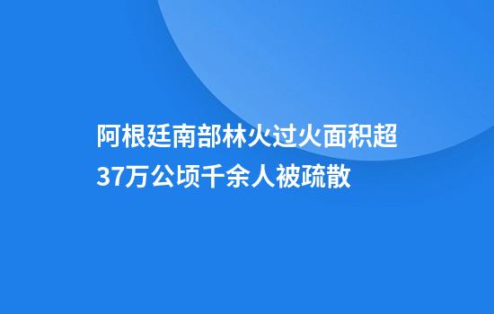 阿根廷南部林火过火面积超3.7万公顷千余人被疏散